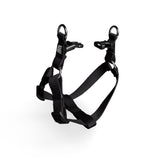 Step In Harness.