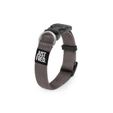 Dog Collar.