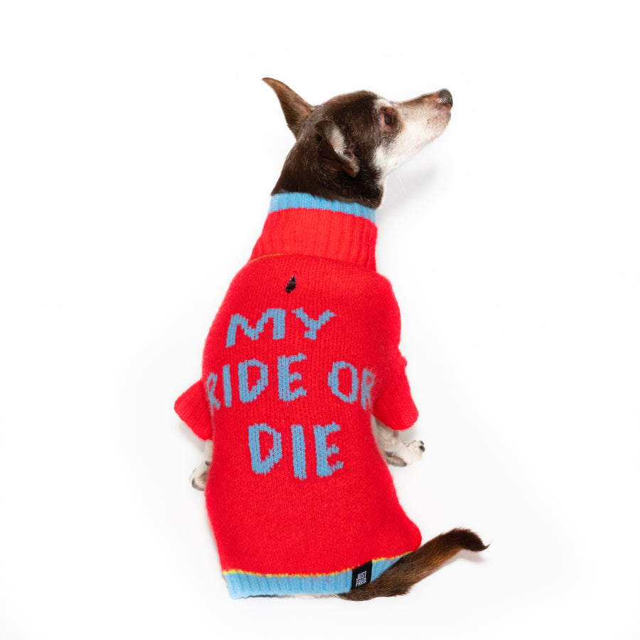 Ride or Die Sweater.