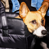 Destination Dog Tote - Ltd Edition.