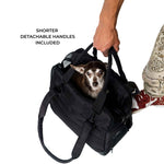 Black Just Fred Companion tote pet carrier with a Chihuahua dog inside highlighting the detachable handles, held by a person on a white background.