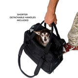 Black Just Fred Companion tote pet carrier with a Chihuahua dog inside highlighting the detachable handles, held by a person on a white background.