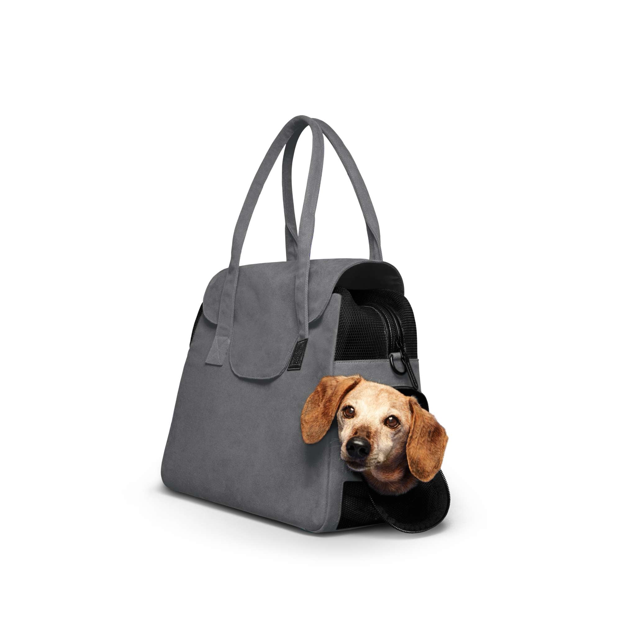 Gray Just Fred Destination Tote pet dog carrier with a Dachshund dog peeking out on a white background