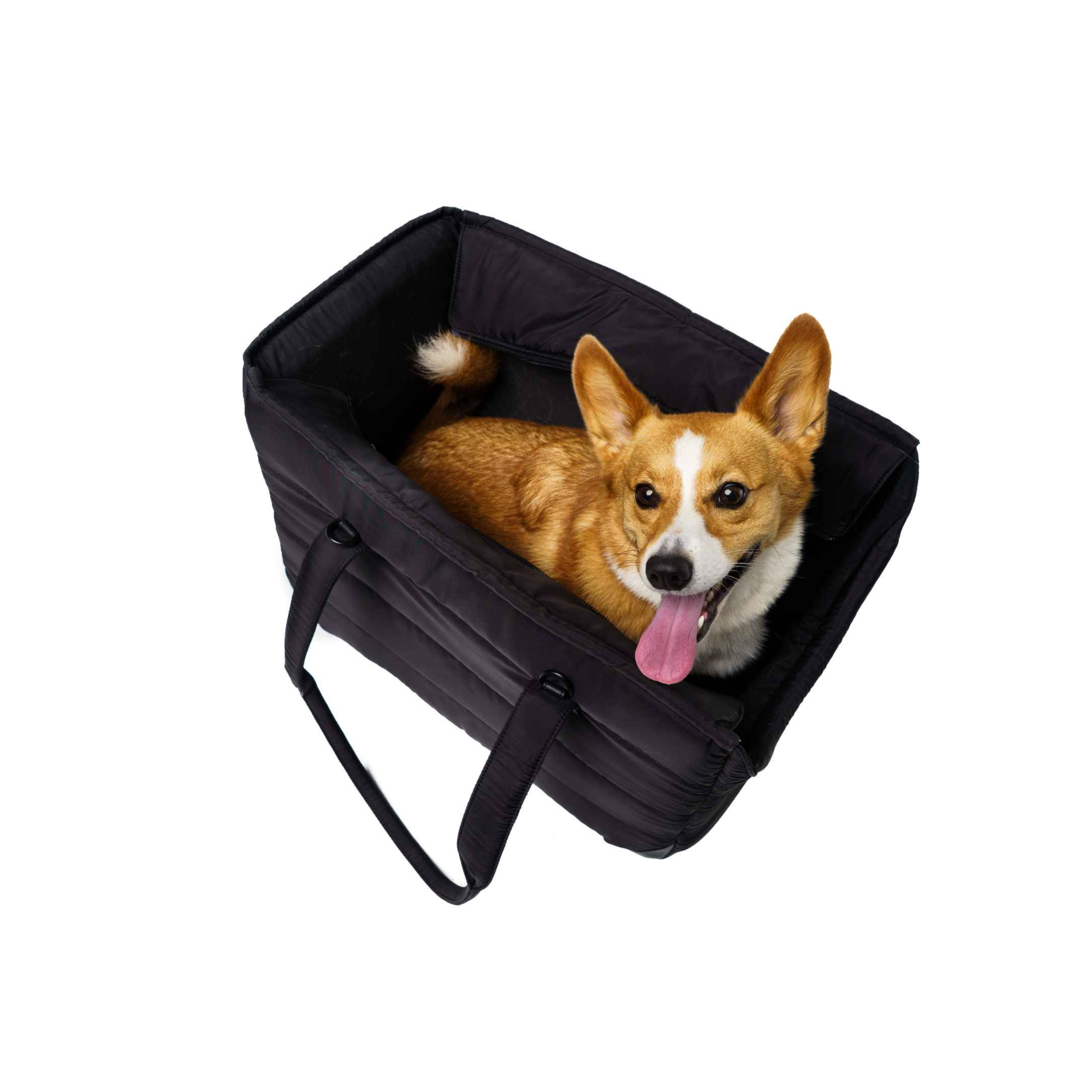 Corgi dog sitting in a Just Fred black Subway Tote pet dog carrier on a white background
