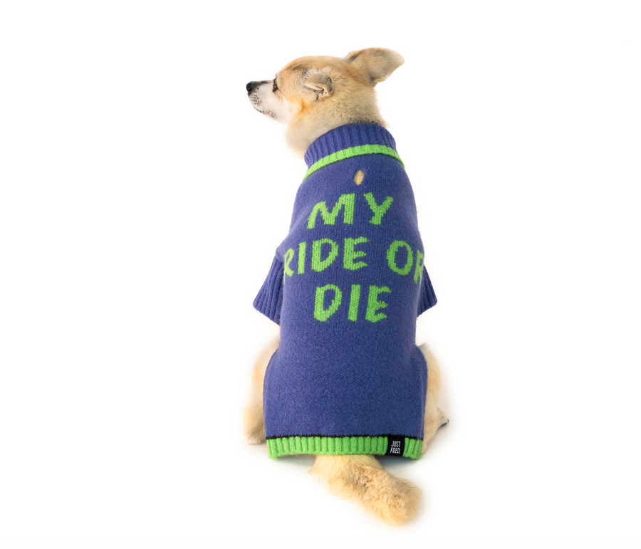 Ride or Die Sweater.