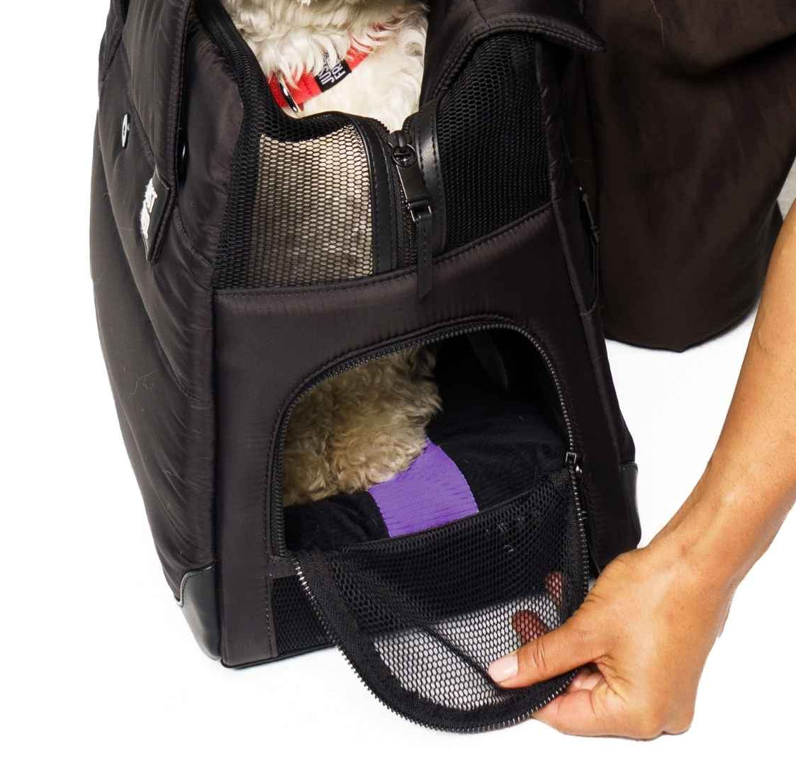 Pet carrier with a small dog inside, held open by a hand on a white background