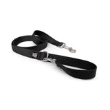 Dog Leash.
