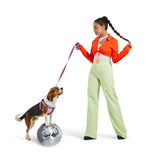 Dog Harness Kit.
