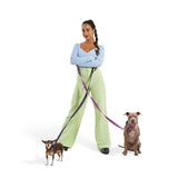 Dog Leash.