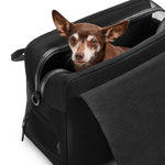 A black canvas Just Fred Destination Tote pet dog carrier tote with dual handles, a front zipper pocket, and vegan leather base. A brown Chihuahua sits in the tote, showing the breathable mesh top zipped opening, on a white background