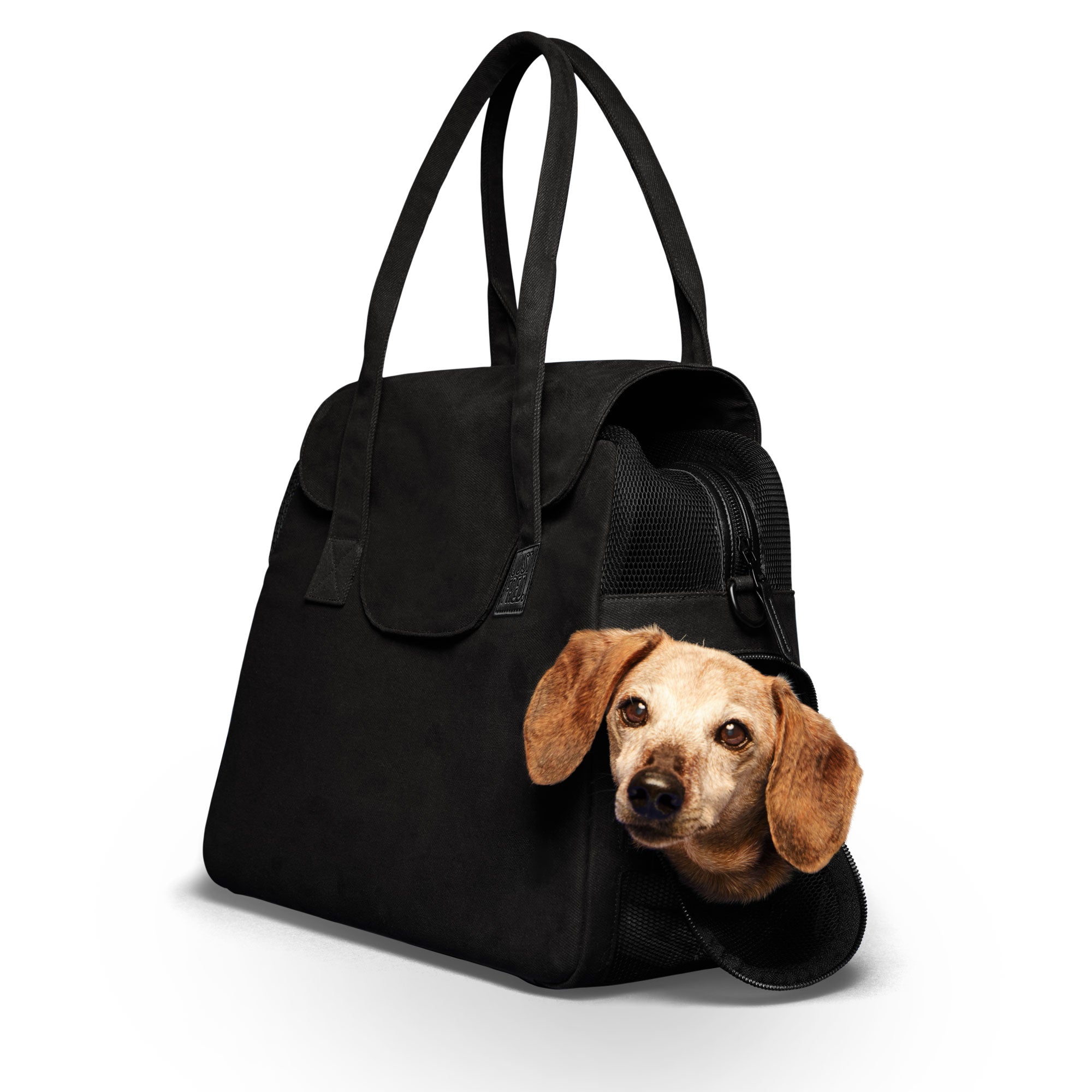 Black Just Fred Destination Tote pet dog carrier showing a tan Dachshund peeking out of the side breathable mesh window, on a white background