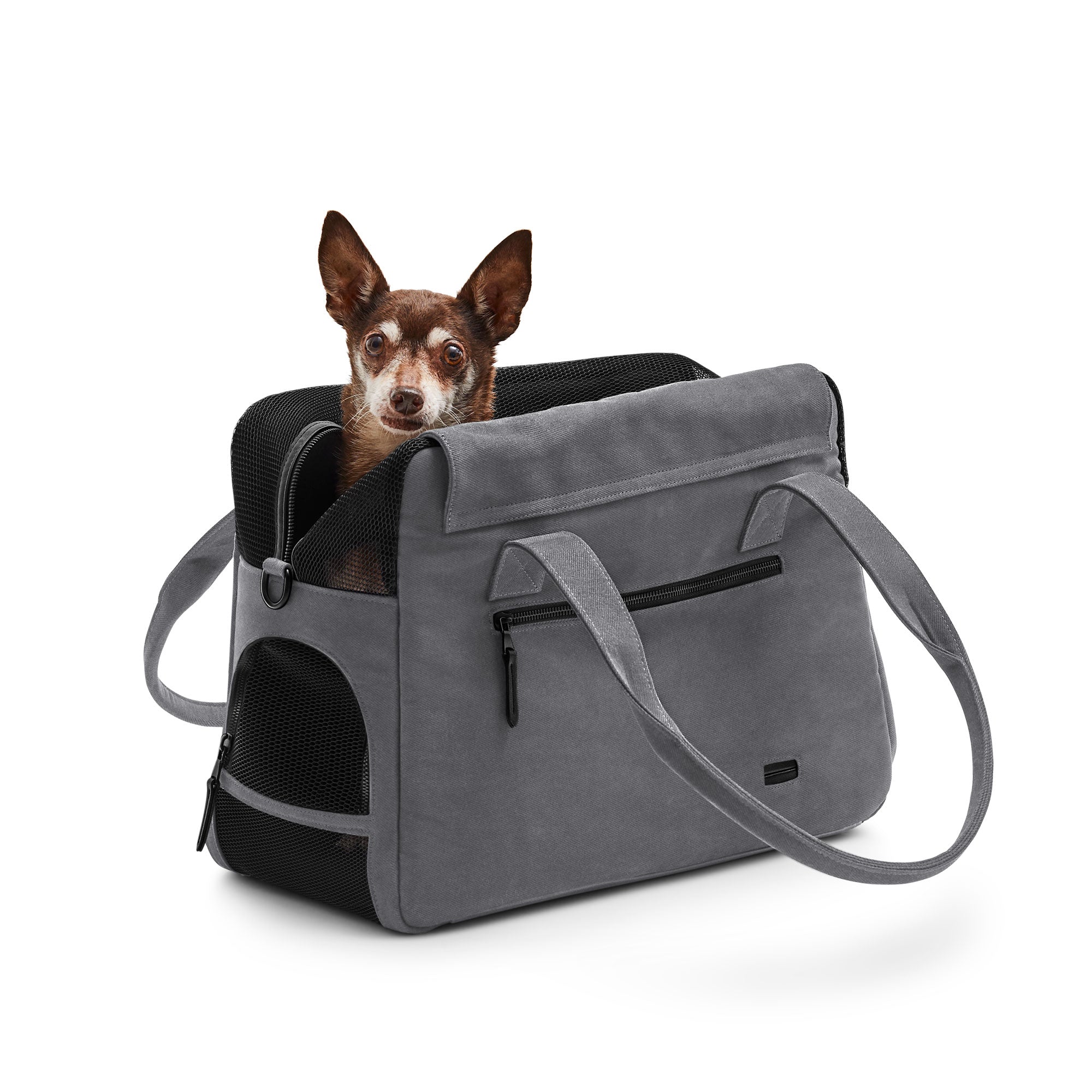 Gray Just Fred Destination Tote dog carrier with a Chihuahua dog inside showing the mesh window and top opening, on a white background