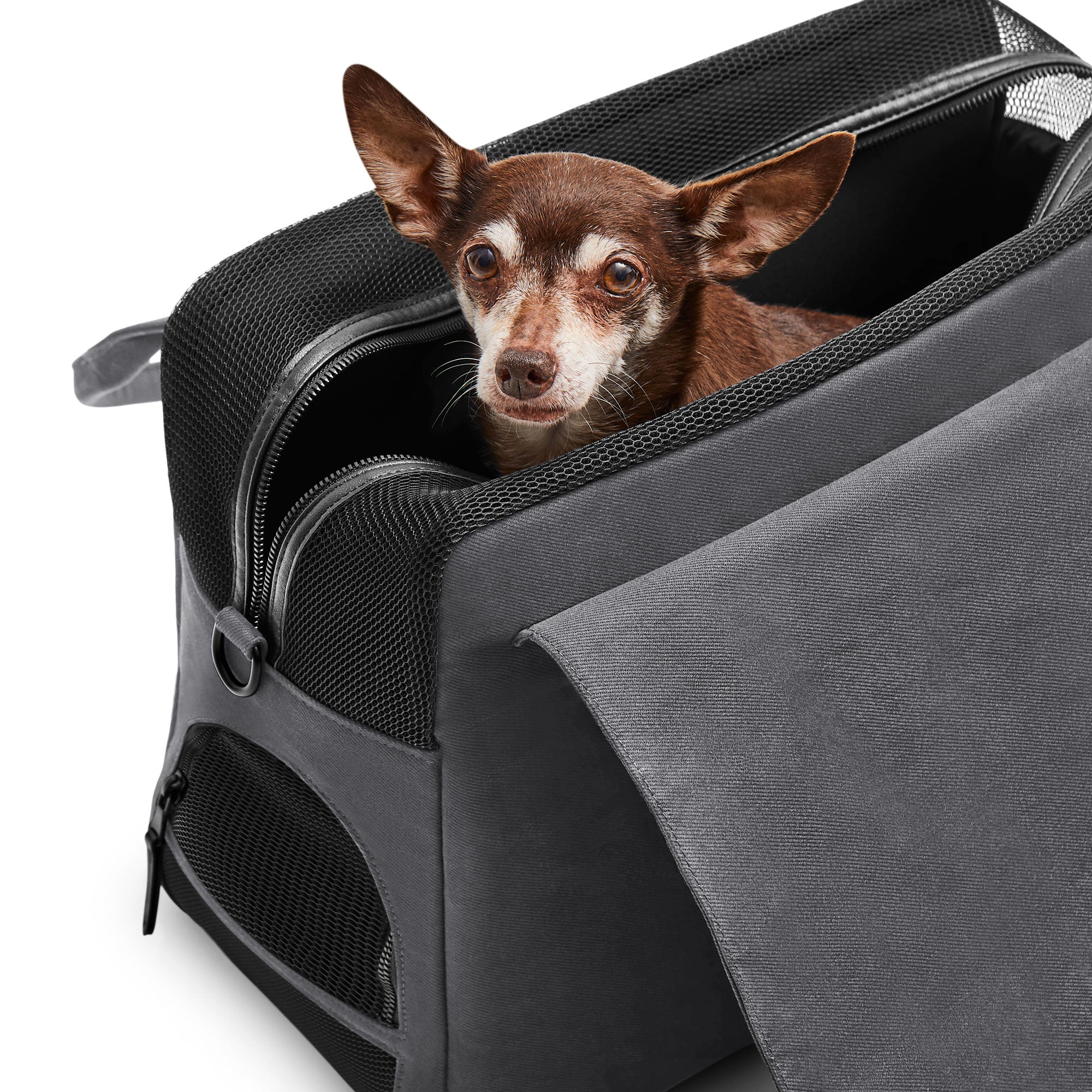 A gray Just Fred gray Destination Dog Tote with a sleek design, featuring a mesh enclosure and peek-a-boo window, along with an exterior pocket. A brown Chihuahua is inside the bag, on a white background
